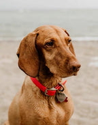 Custom German Shepherd Leather Keychain - Genuine Leather Pet Memorial

