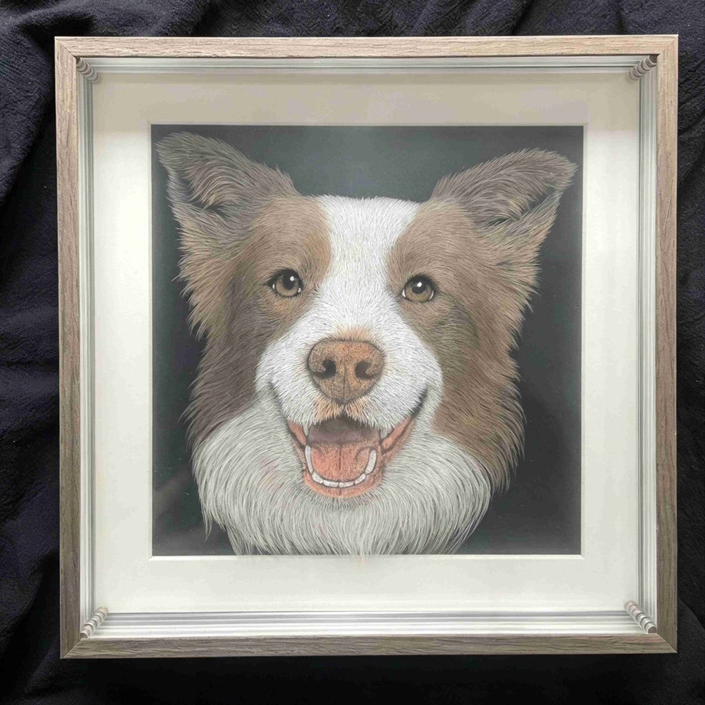 Custom 6-Layer Acrylic Pet Portrait - Brown and White Border Collie, Framed Handcrafted Dog Portrait
