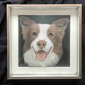 Custom 6-Layer Acrylic Pet Portrait - Brown and White Border Collie, Framed Handcrafted Dog Portrait
