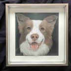 Custom 6-Layer Acrylic Pet Portrait - Brown and White Border Collie, Framed Handcrafted Dog Portrait
