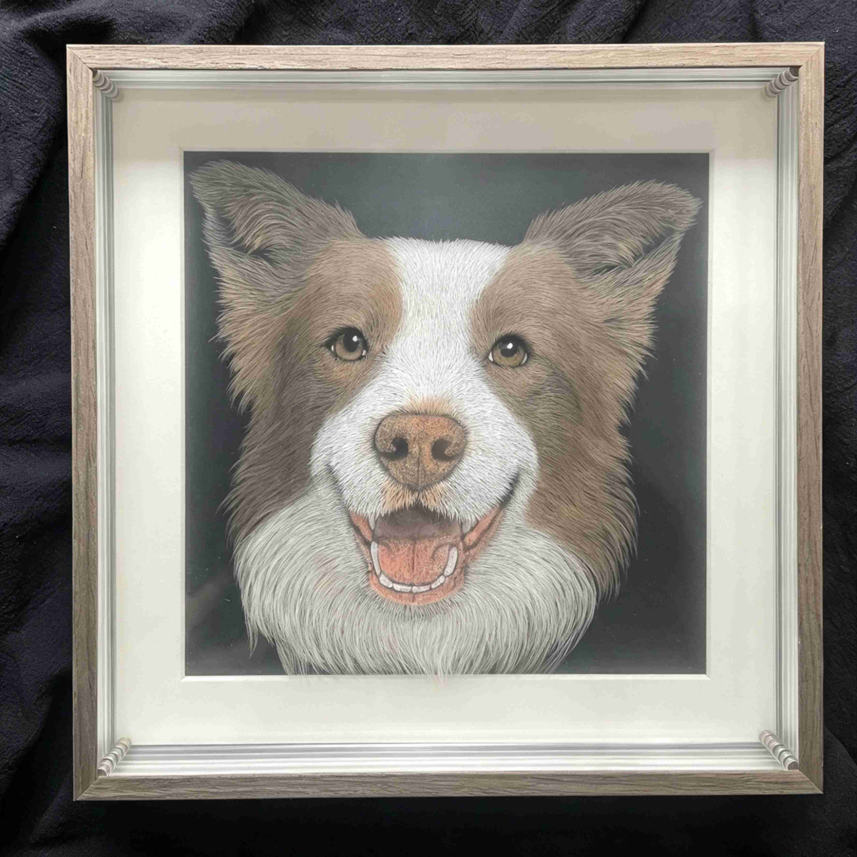 Custom 6-Layer Acrylic Pet Portrait - Brown and White Border Collie, Framed Handcrafted Dog Portrait
