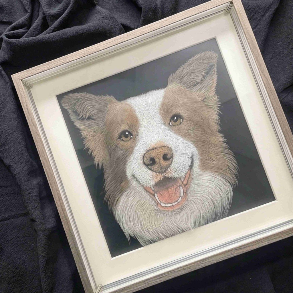 Custom 6-Layer Acrylic Pet Portrait - Full Frame View, Smiling Border Collie on Dark Background

