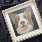 Custom 6-Layer Acrylic Pet Portrait - Full Frame View, Smiling Border Collie on Dark Background


