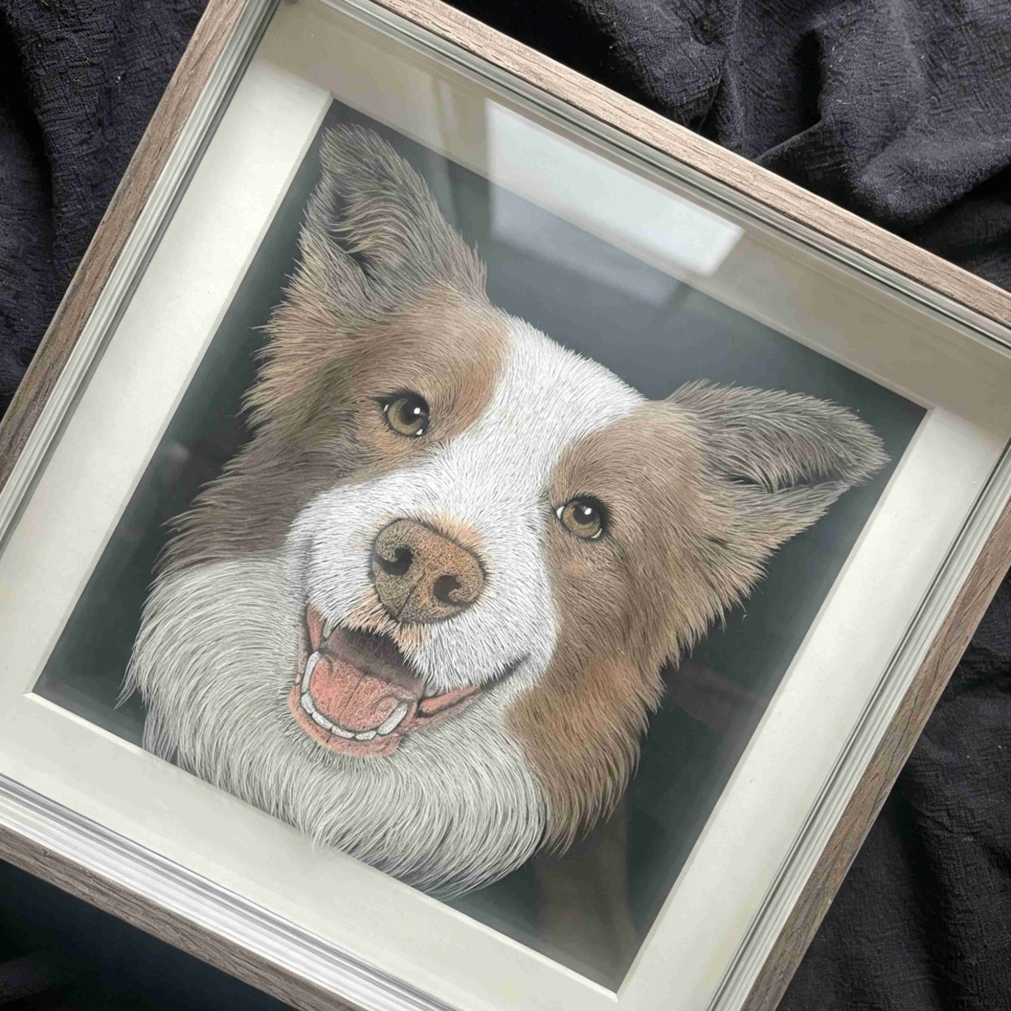 Custom 6-Layer Acrylic Pet Portrait - Full Frame View, Smiling Border Collie on Dark Background